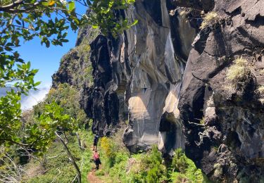 Randonnée Marche São Roque do Faial - Pico Ruibo - Photo