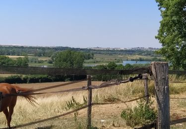 Trail Walking Lesches - lesches - Photo