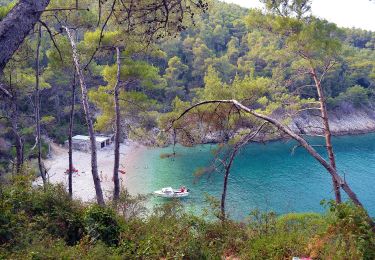 Percorso A piedi  - Sveta Marina - Drenje - Kosi & Panorama - Photo