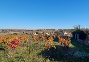 Tour Wandern Abeilhan - Abeilhan coteaux de la Thongue  - Photo