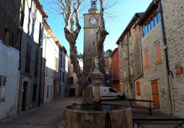 Trail Walking La Roquebrussanne - Les Orris - Photo