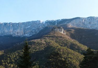 Tocht Stappen Die - Le Glandasse (Abbaye-Comptoir à moutons-Fauchard-Abbaye) - Photo