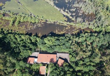 Tocht Te voet São Pedro d'Arcos - Percurso das Tapadas - Photo