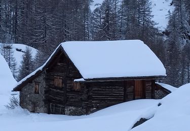 Excursión Raquetas de nieve Névache - 1-01-21 Nevache-Fontcouverte - Photo