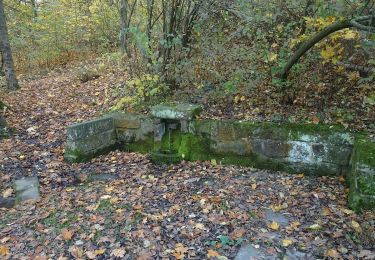 Excursión A pie Nový Jičín - Studánková trasa Puntík - Photo