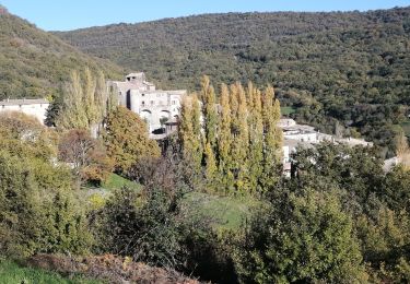 Trail Walking Aubignas - aubignas - Photo