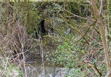 Trail Walking Antoing - televie personne  - Photo