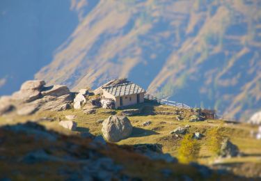 Percorso A piedi Bobbio Pellice - (SI E23) Rifugio Barbara Lowrie (Grange del Pis) - Villanova Pellice - Photo