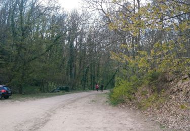 Tocht Stappen Châtel-Guyon - Rochepradiere-Le Colombier-Chazeron - Photo