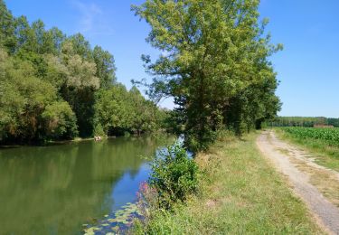 Tour Wandern Rivarennes - Rivarennes - Circuit 1 - 18.2km 225m 3h55 - 2020 07 13 - Photo