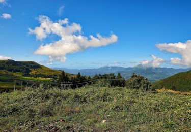 Percorso A piedi Varese Ligure - Colla Craiolo - Passo di Cento Croci - Photo