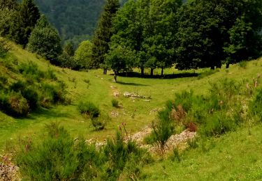 Tocht Stappen Oderen - TREK ALSACIEN (1ère étape) - Photo