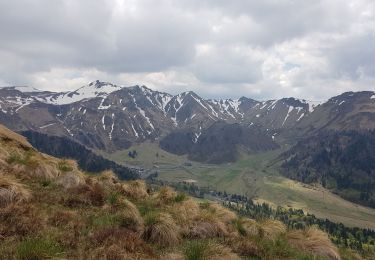 Randonnée Marche Mont-Dore - Le Roc de Cuzeau - Photo