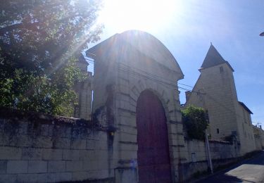 Percorso Marcia Saumur - Dampierre sur Loire - Photo