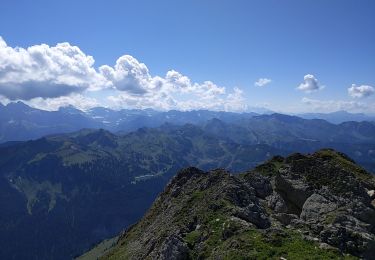 Percorso Marcia Châtel - le mont de grange - Photo
