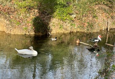 Tour Wandern Uzès - Fontaine d’Eure - Photo