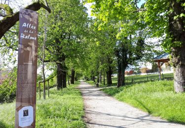Trail Nordic walking Seyssins - Tour du rocher de Comboire + AR de l'allée de la Balme - Photo