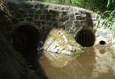 Trail On foot Butzbach - Wanderwege Wiesental - Eule - Photo