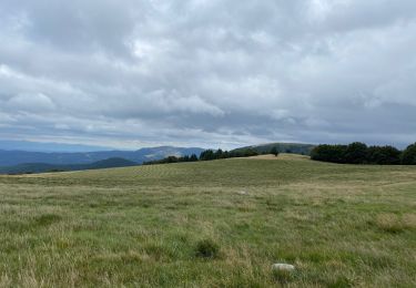 Tour Wandern Le Valtin - Col de la Schlucht - Photo