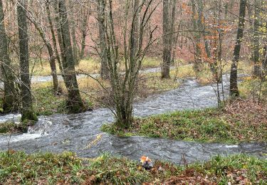 Trail Walking Habay - Les 4 fils Aymon  - Photo