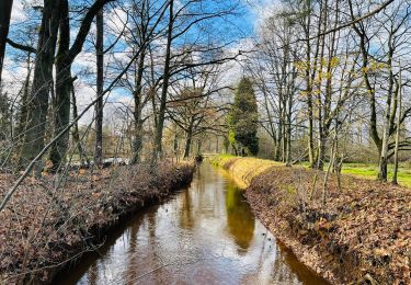 Randonnée Marche Halen - La vallée du Zwarte Beek à Zelem - Photo