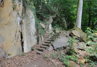 Percorso A piedi Berdorf - AP Grundhof Hiking Tour - Photo