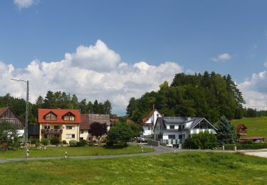 Tocht Te voet Obertrubach - Trubachweg - Photo