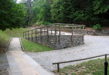 Percorso A piedi Ghiffa - R10 Sacro Monte S.S.Trinità di Ghiffa - Pollino - Piancavallo - Colle - Passo Folungo - Photo