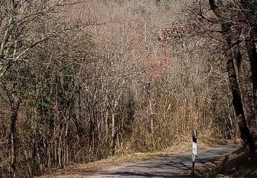 Tour Wandern Saint-Pierre-Lafeuille - Saint-Pierre_Les Pougens_Pech-Mège 6,4 - Photo