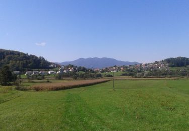 Excursión A pie Škofljica - Pijavška barjanska pot - Photo