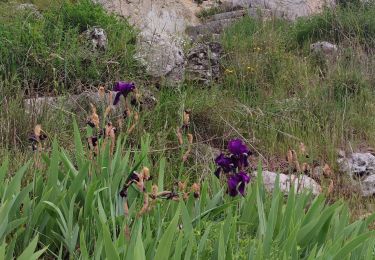 Excursión Senderismo Peille - Grave de PEILLE - Peillon - Peille - Photo