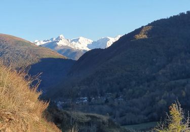 Tocht Stappen Vèbre - rocher de Courbas - Photo