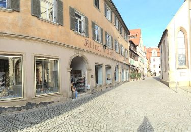 Percorso A piedi Rottenburg am Neckar - Rottenburg-Rammert - Photo