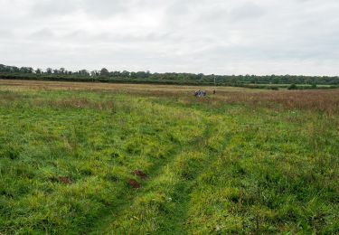 Randonnée A pied King's Lynn and West Norfolk - Circular Walk - Photo