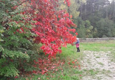 Tocht Stappen Montjoyer - 23 10 22 - Photo