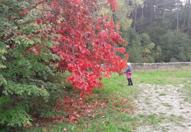 Tour Wandern Montjoyer - 23 10 22 - Photo