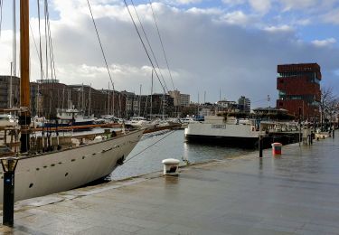 Trail Walking Antwerp - TT - Anvers Downtown - Photo