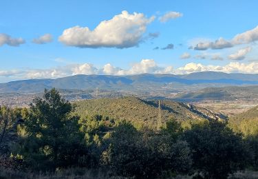 Randonnée Marche Rognes - Rognes - Photo