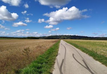 Trail Walking La Côte-Saint-André - revel tourdan - Photo