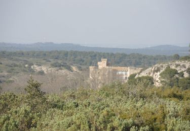 Randonnée Marche Lambesc - PF-Lambesc - La Barben par les bords de la Touloubre - XA - Photo