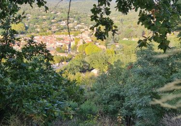 Trail Walking Collobrières - collobrieres, Lambert, laquina - Photo