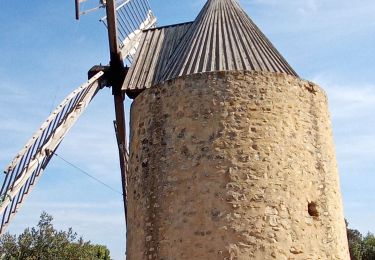 Trail Walking Vénéjan - château de Gicon  - Photo