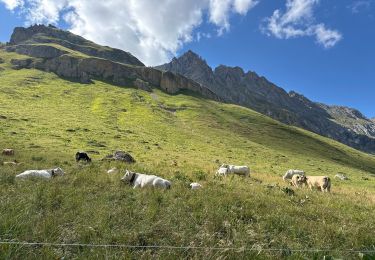 Randonnée Marche Pralognan-la-Vanoise - Glacier de Genepy 13 km - Photo