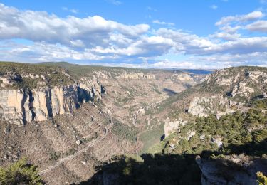 Tocht Stappen Veyreau - Causse Noir /Ermitage St Michel/ Point sublime  - Photo