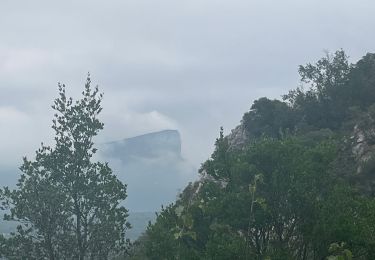 Randonnée Marche Cazevieille - Cazevieille la Jasse, Sauzet - Photo