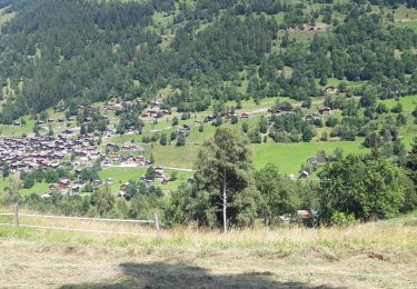 Randonnée Marche Anniviers - Marché Bisse - Photo