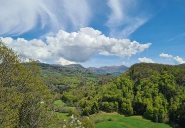 Excursión Senderismo La Bourboule - Dordogne-StRoch-Liournat_fohet - Photo