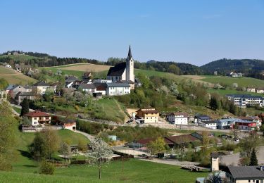 Excursión A pie Pabneukirchen - Romantiktal-Maseldorf - Photo