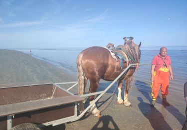 Tour Wandern Koksijde - Kruwerspad + de Verhulstjes - Photo