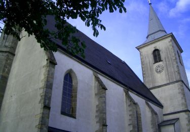 Randonnée A pied Windhaag bei Perg - Falkensteinweg - Photo